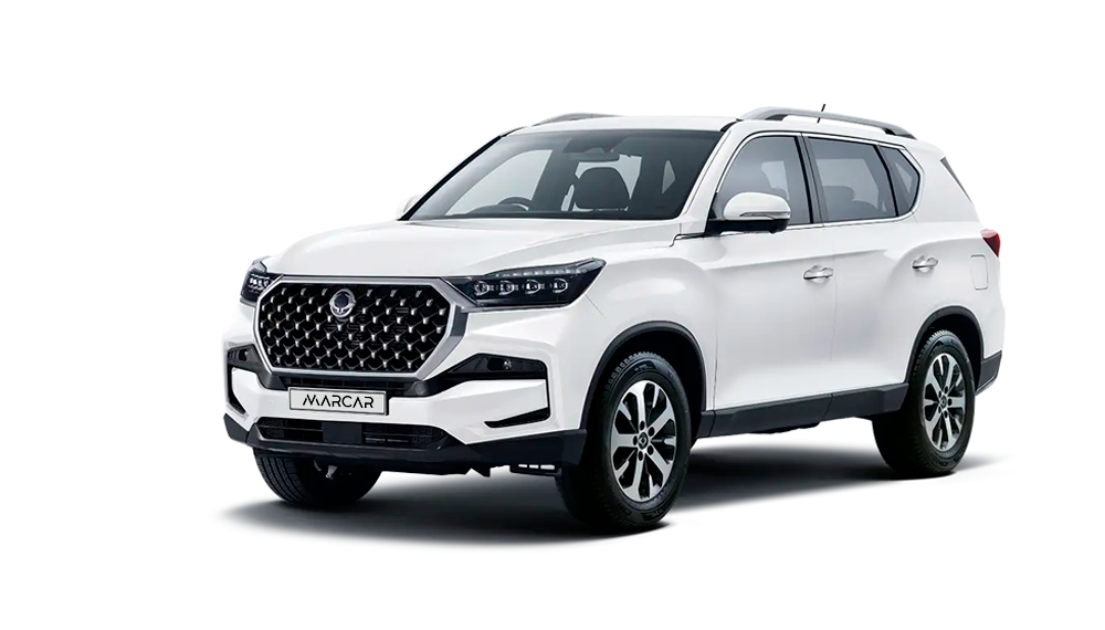  Rexton